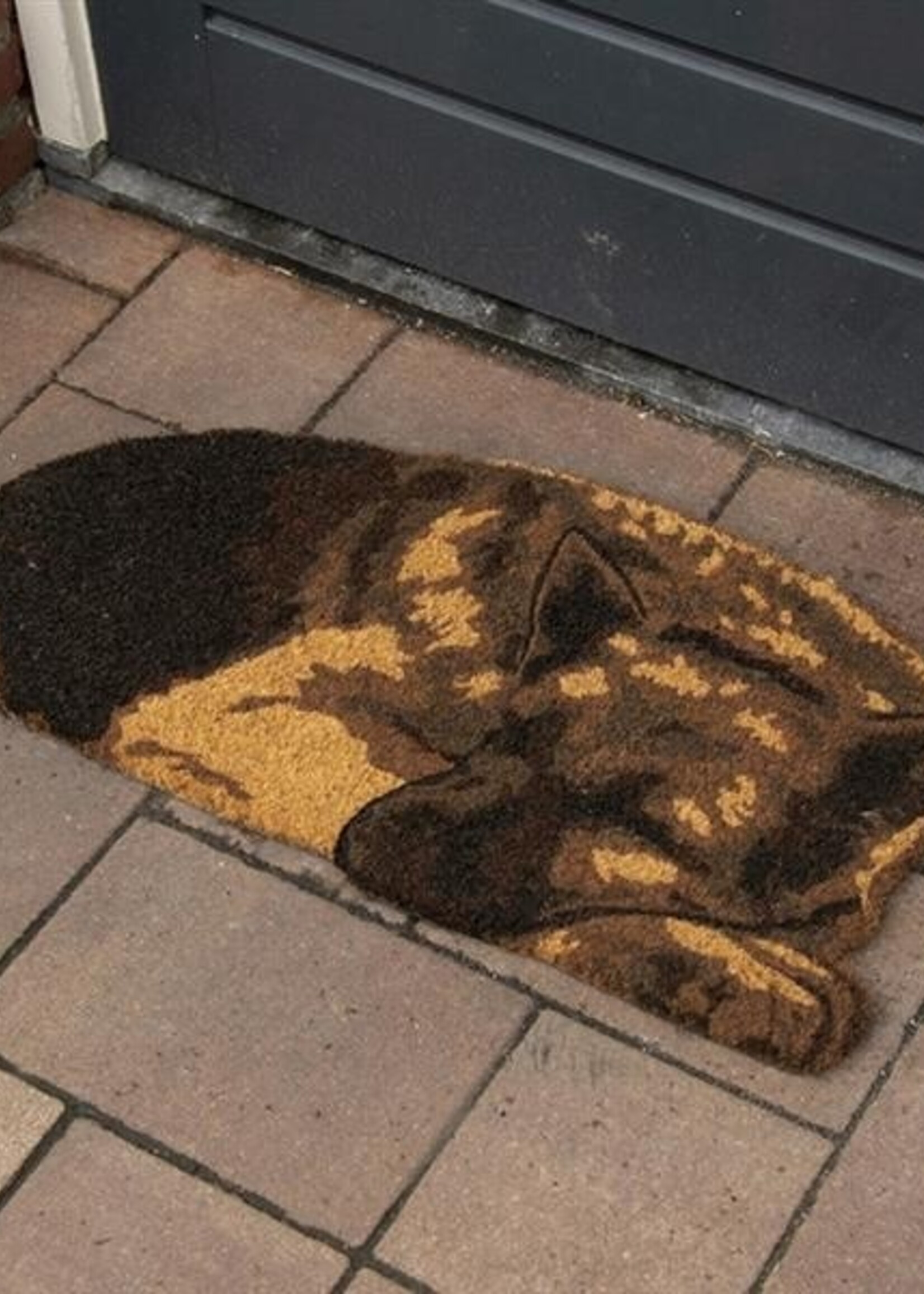 Esschert Design Waakhond kokosmat 37,2x74,5xh1,7cm