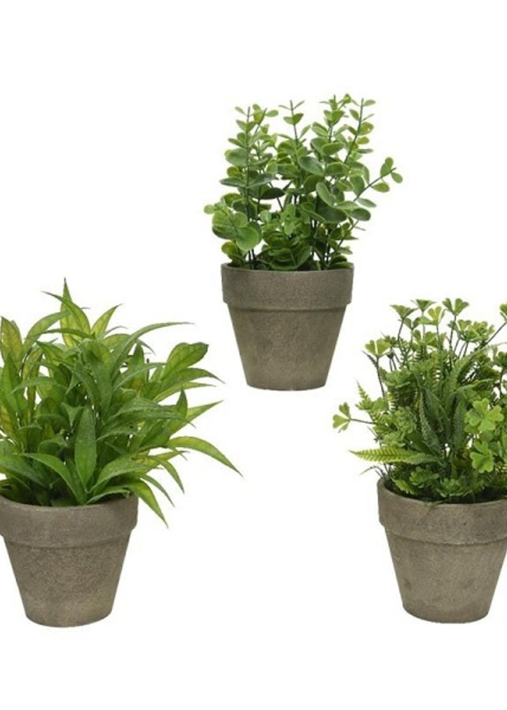 Decoris Plant kunststof Ø20-H25cm