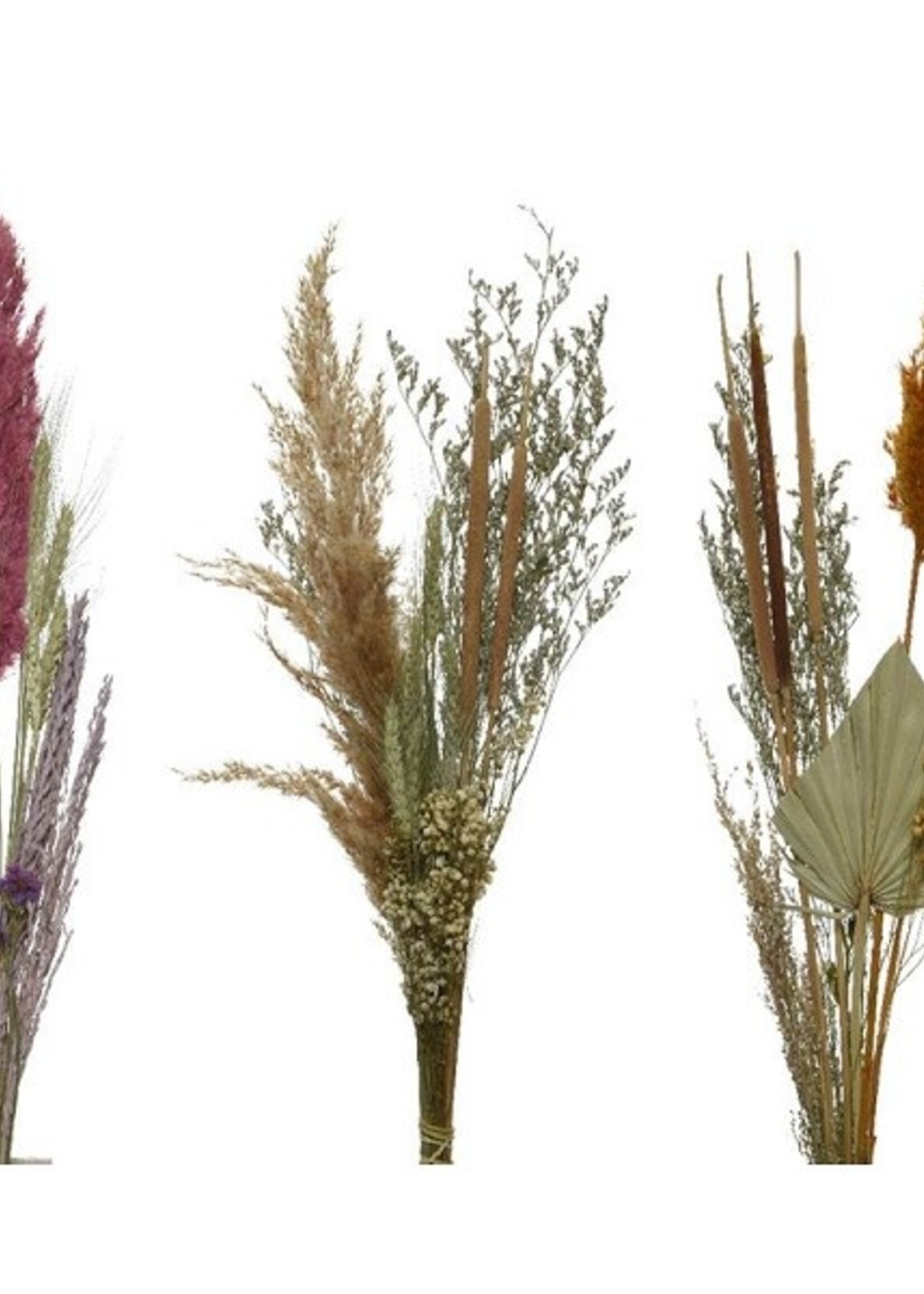 Decoris Boeket droogbloem Ø15x65cm per stuk