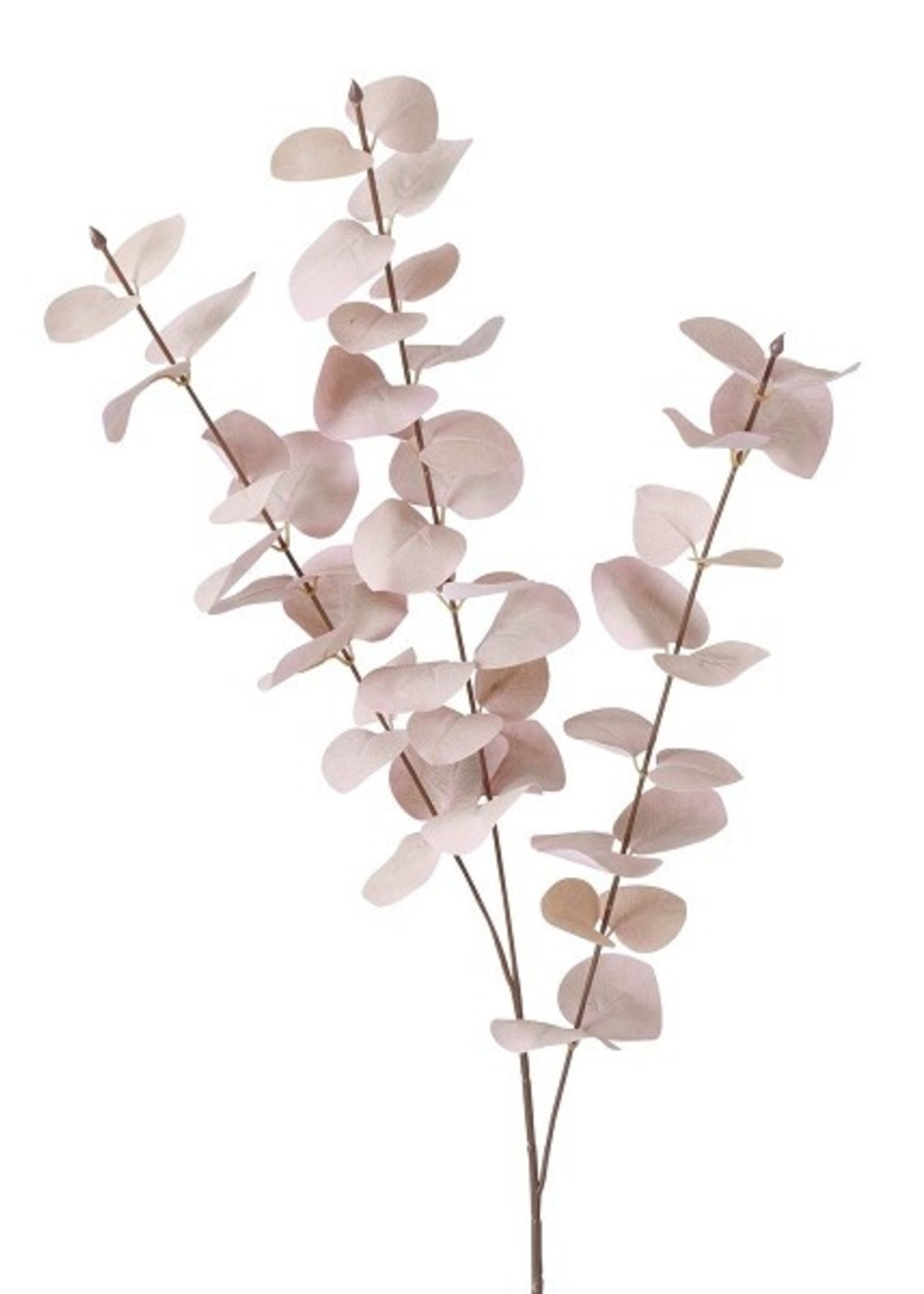 Boltze Home Decotak Eucalyptus 88cm