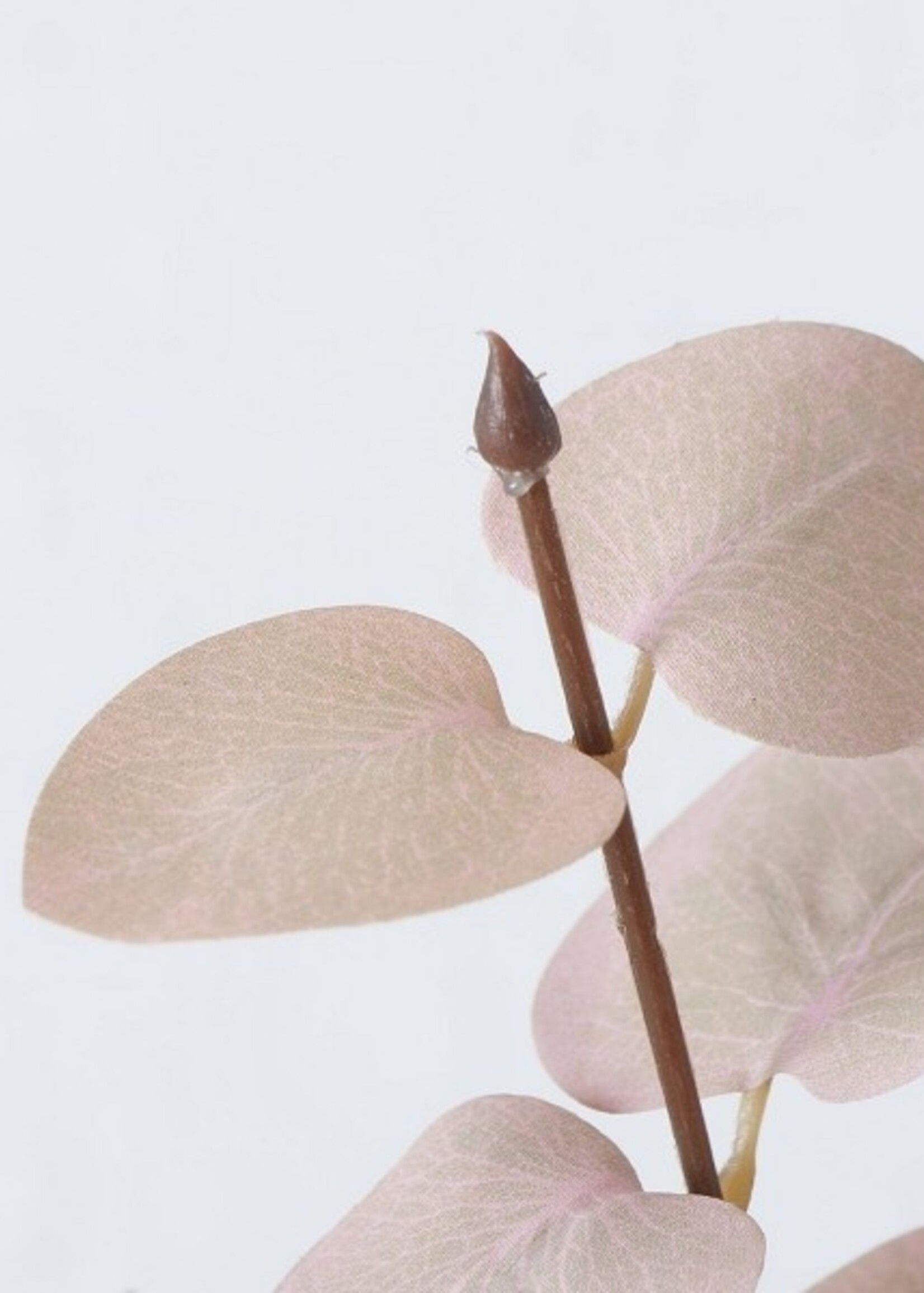 Boltze Home Decotak Eucalyptus 88cm