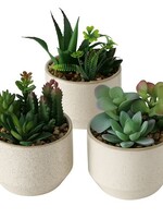 Boltze Home Plant in zandstenen pot Lakuro Ø10x17cm per stuk