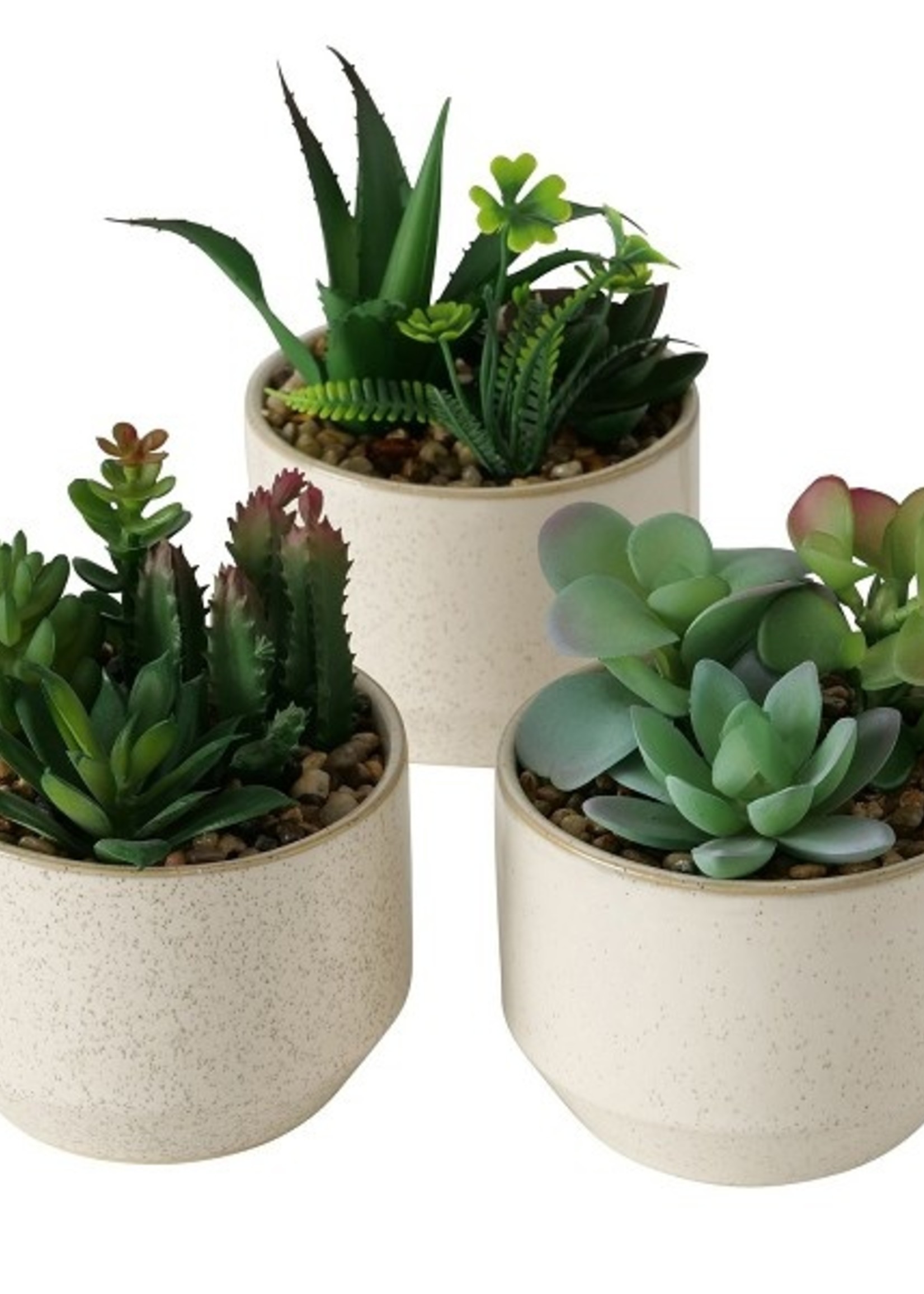 Boltze Home Plant in zandstenen pot Lakuro Ø10x17cm per stuk