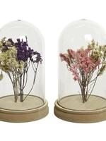 Decoris Stolp glas met droogbloemen Ø11.5-H18cm per stuk