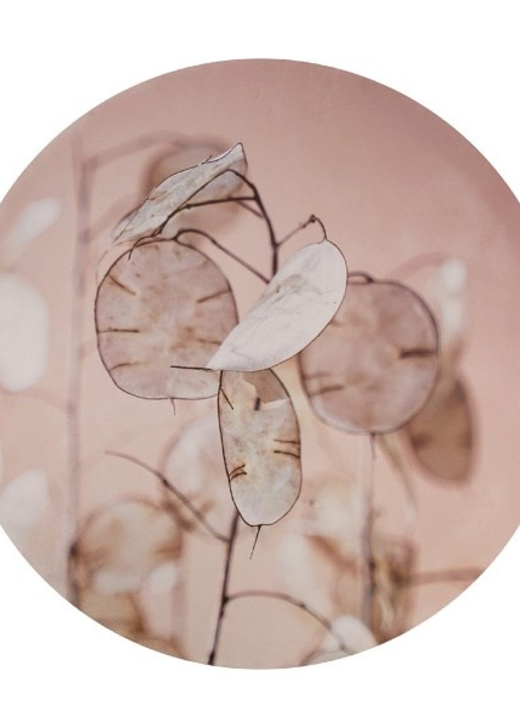 Dijk Natural Collections Wanddecoratie blad mdf Ø58x2.5cm