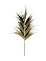 Dijk Natural Collections Pluim van gras naturel 38x1x118cm naturel/zwart