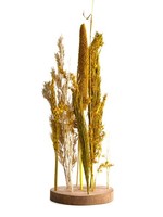 Dijk Natural Collections Droogbloemen met standaard Ø15x30cm geel