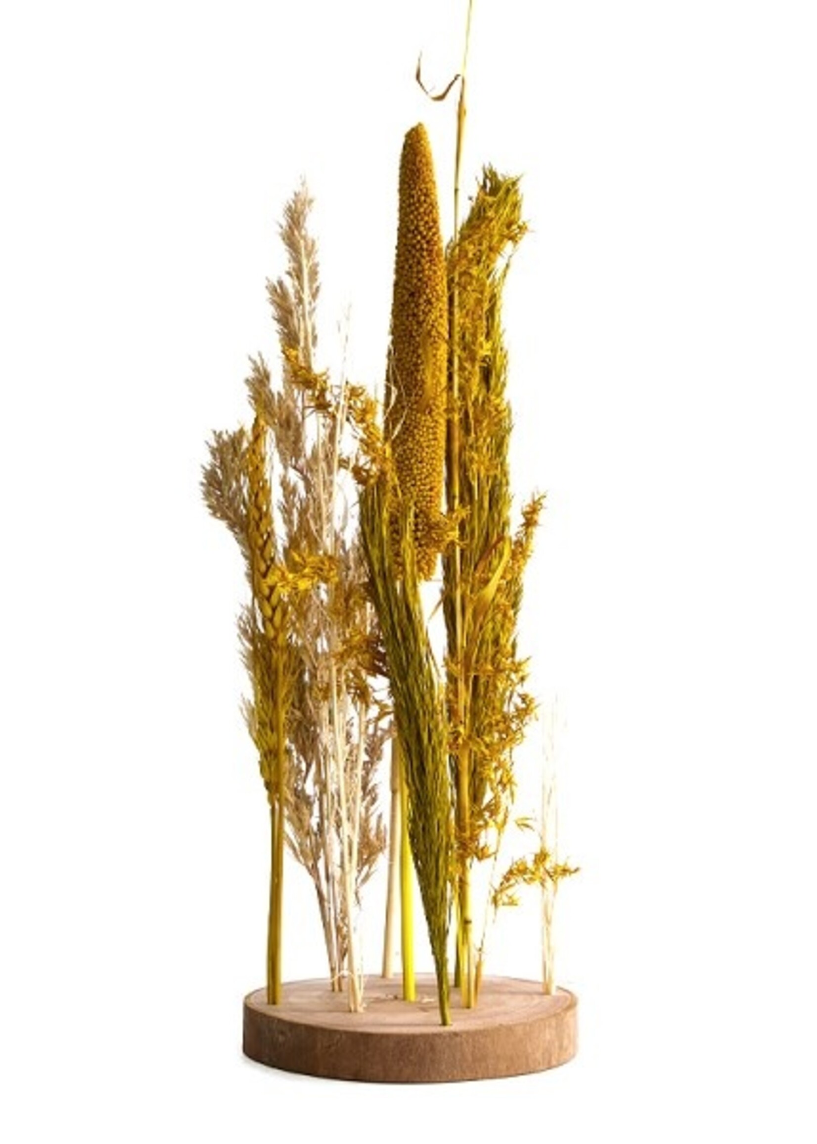 Dijk Natural Collections Droogbloemen met standaard Ø15x30cm geel