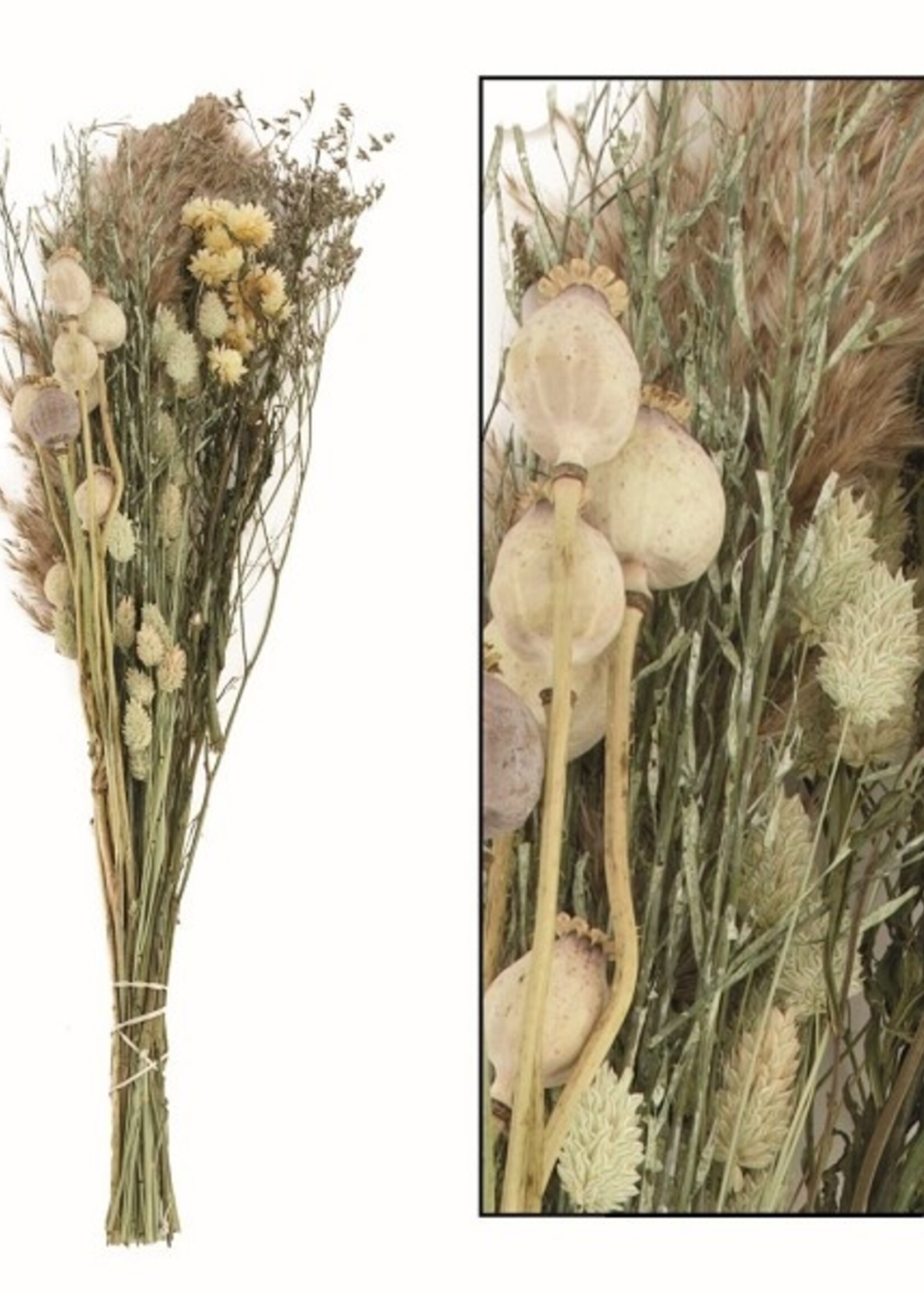 Dijk Natural Collections Boeket droogbloemen 73x20x12cm gemengde kleuren