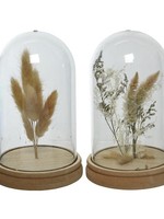 Decoris stolp glas Ø12-H19cm met droogbloemen per stuk