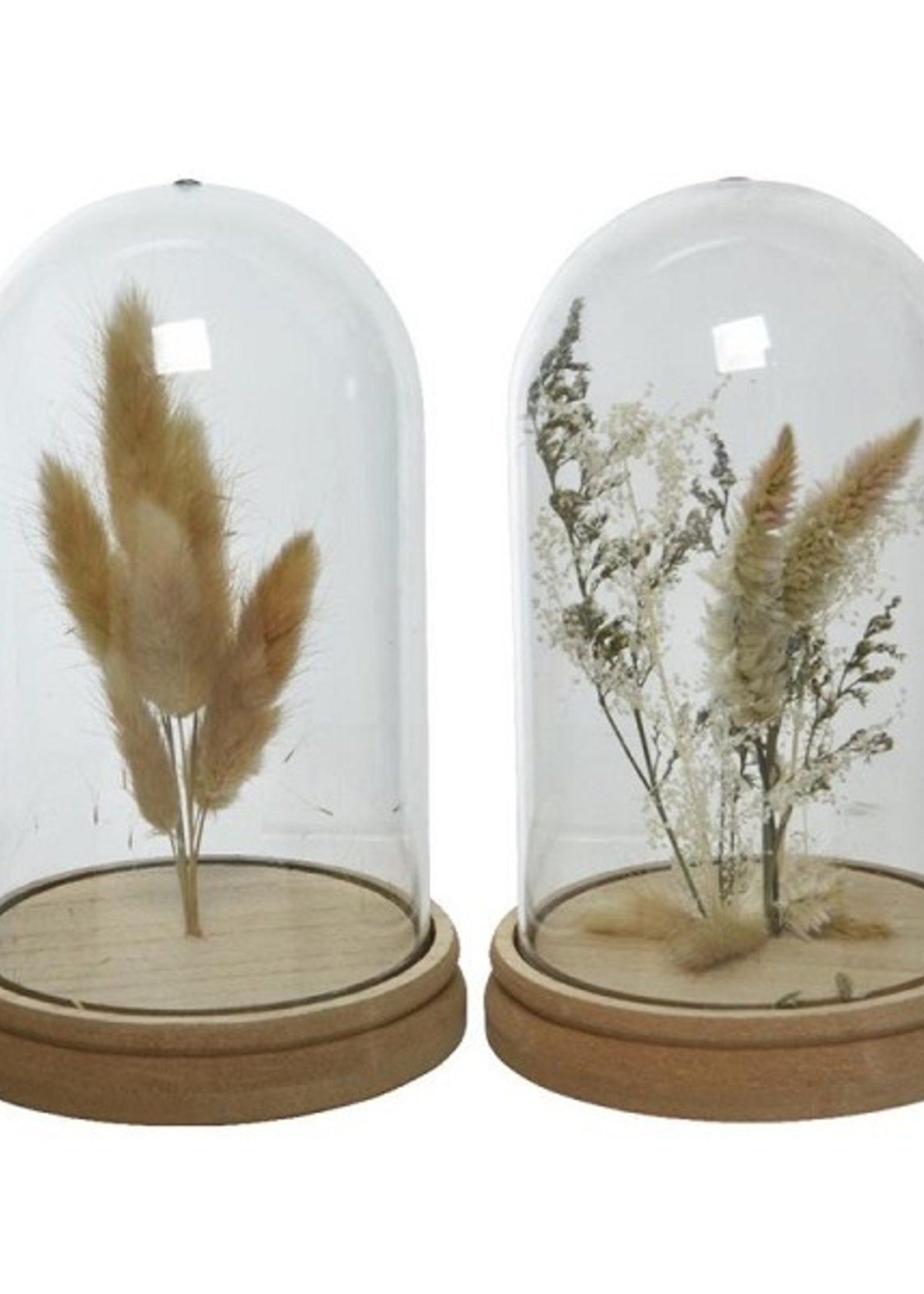 Decoris stolp glas Ø12-H19cm met droogbloemen per stuk