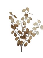 Decoris Spray kunststof L22-W1-H78cm licht bruin