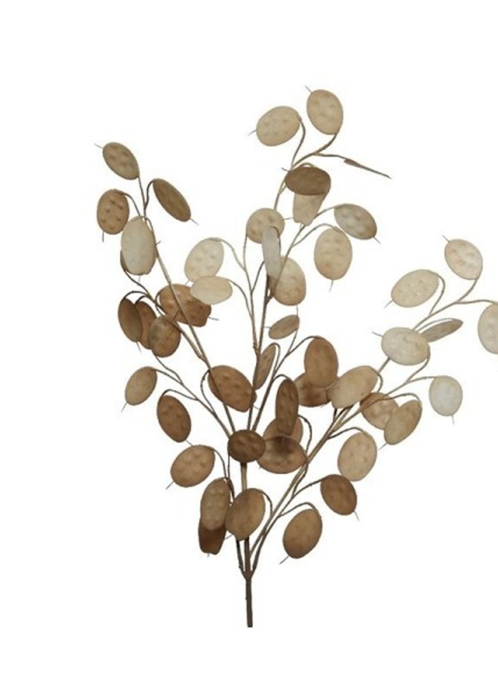 Decoris Spray kunststof L22-W1-H78cm licht bruin