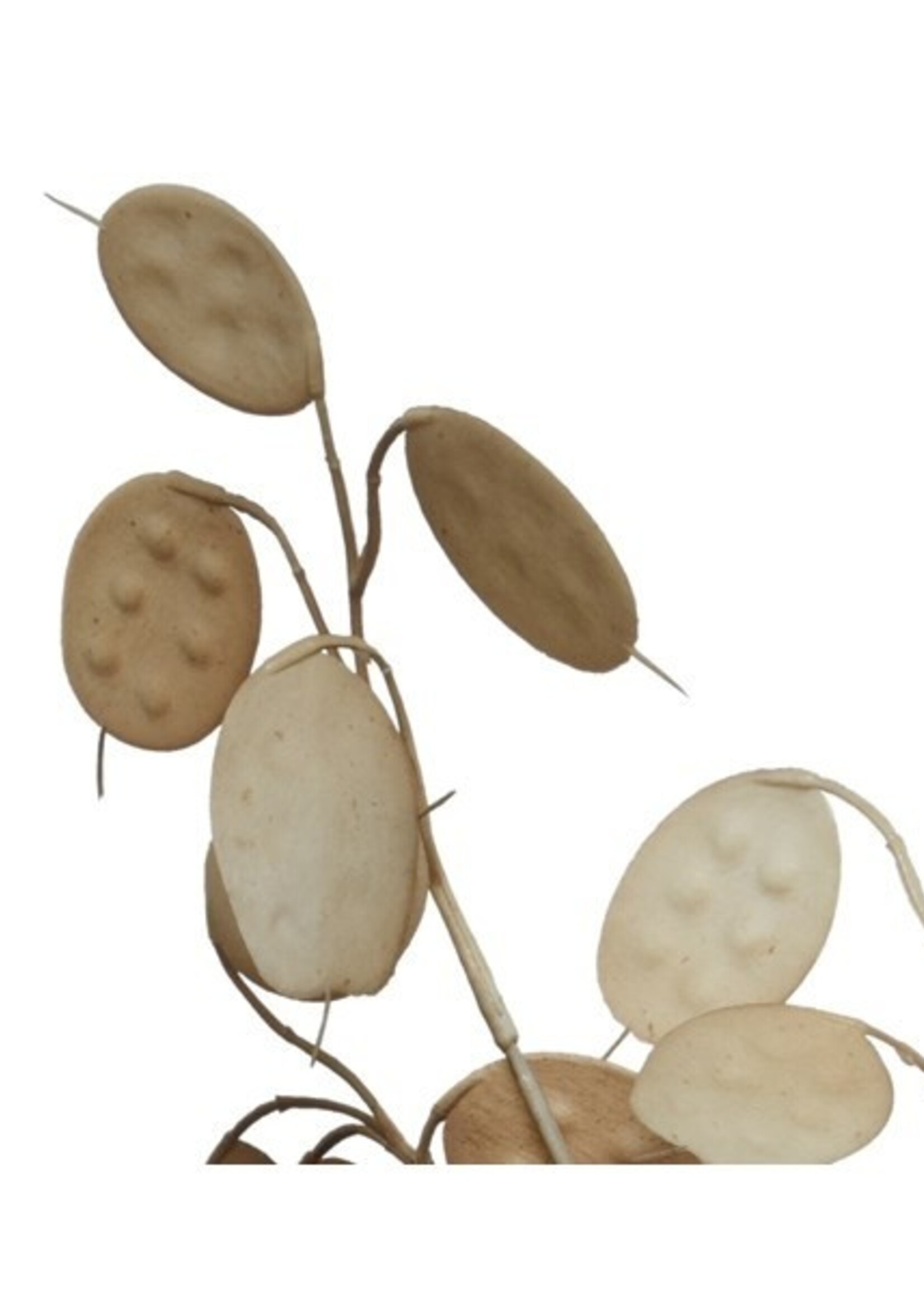 Decoris Spray kunststof L22-W1-H78cm licht bruin