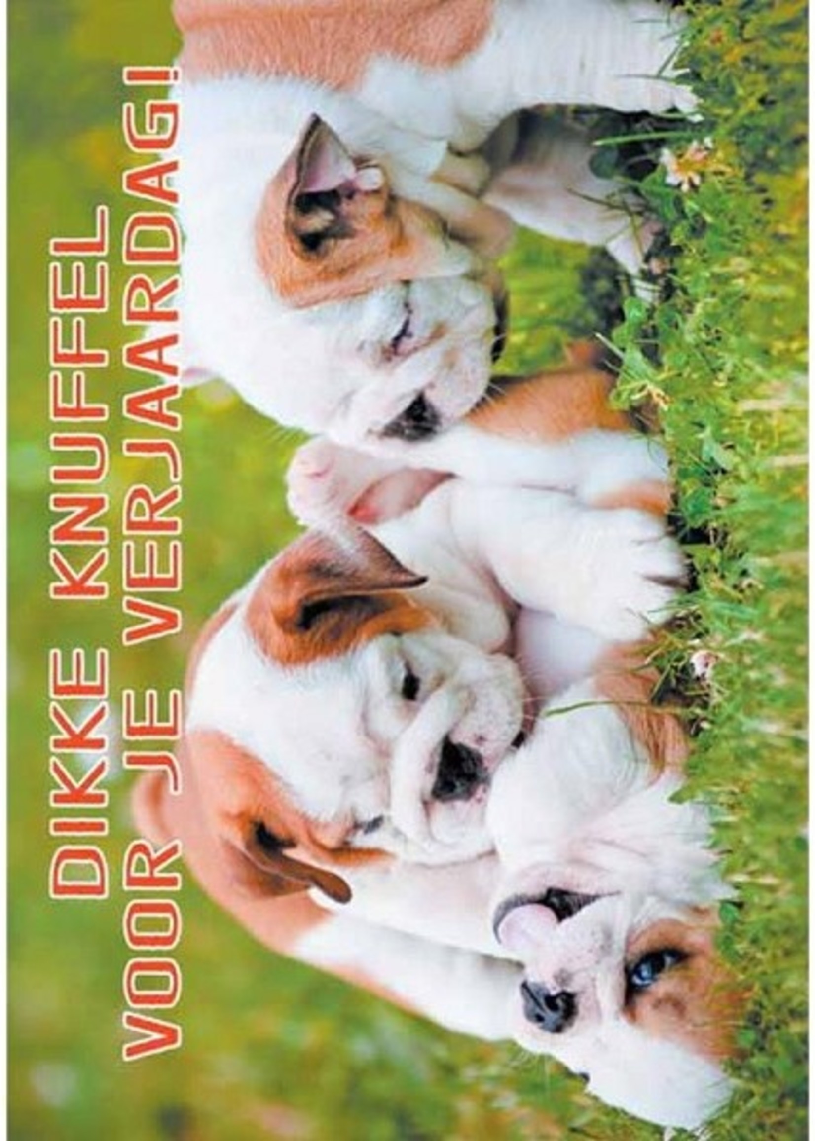 Wenskaarten Hartelijk Gefeliciteerd dier pakje a 10 stuks met envelop