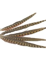 Basic Veren Fazant set a 5 stuks L30-35cm