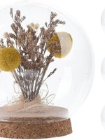 Droogbloemen in glazen bol Ø11x11,5cm per stuk