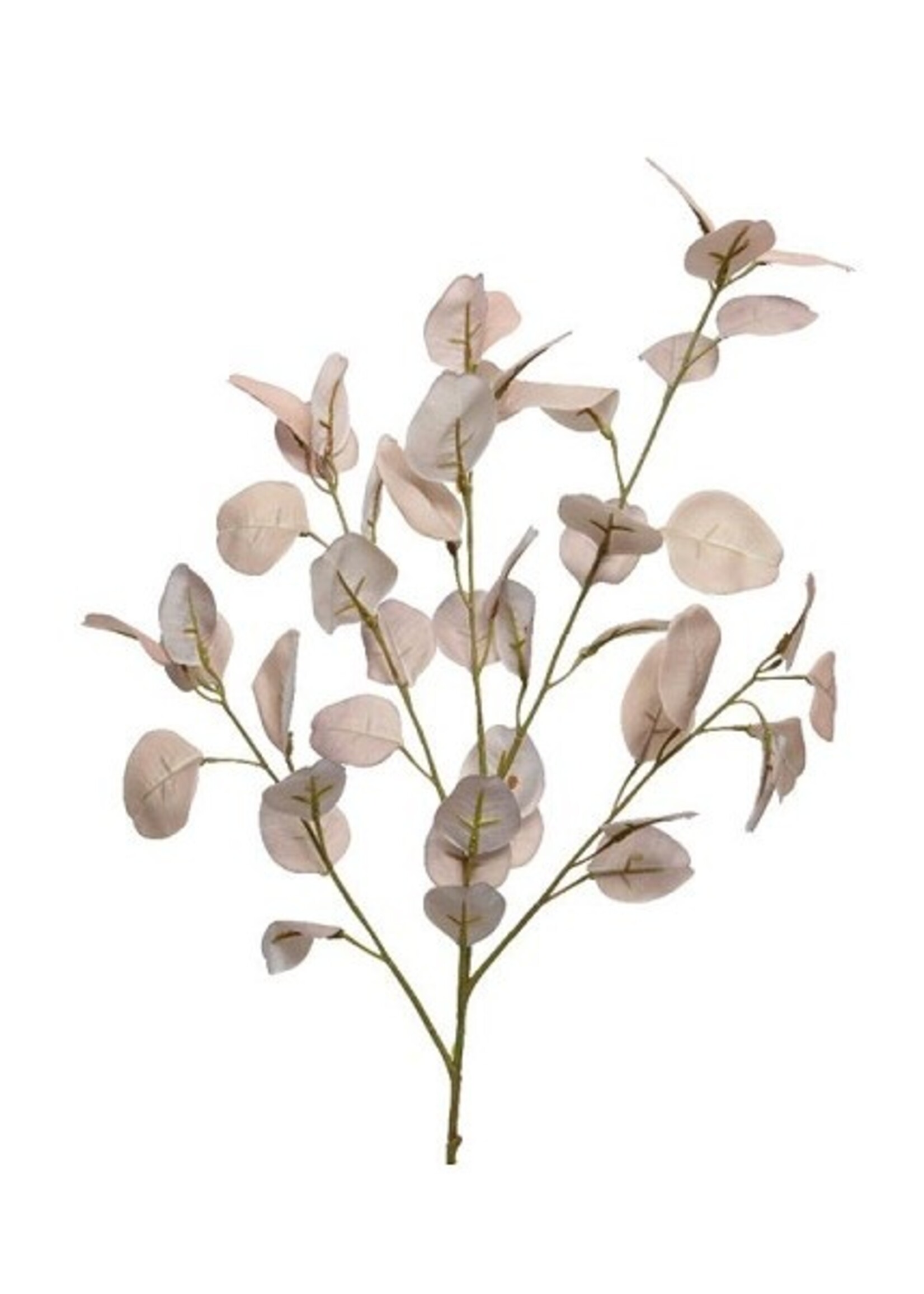 Decoris Eucalyptus polyester kunstbloem L29-W9-H85cm licht bruin