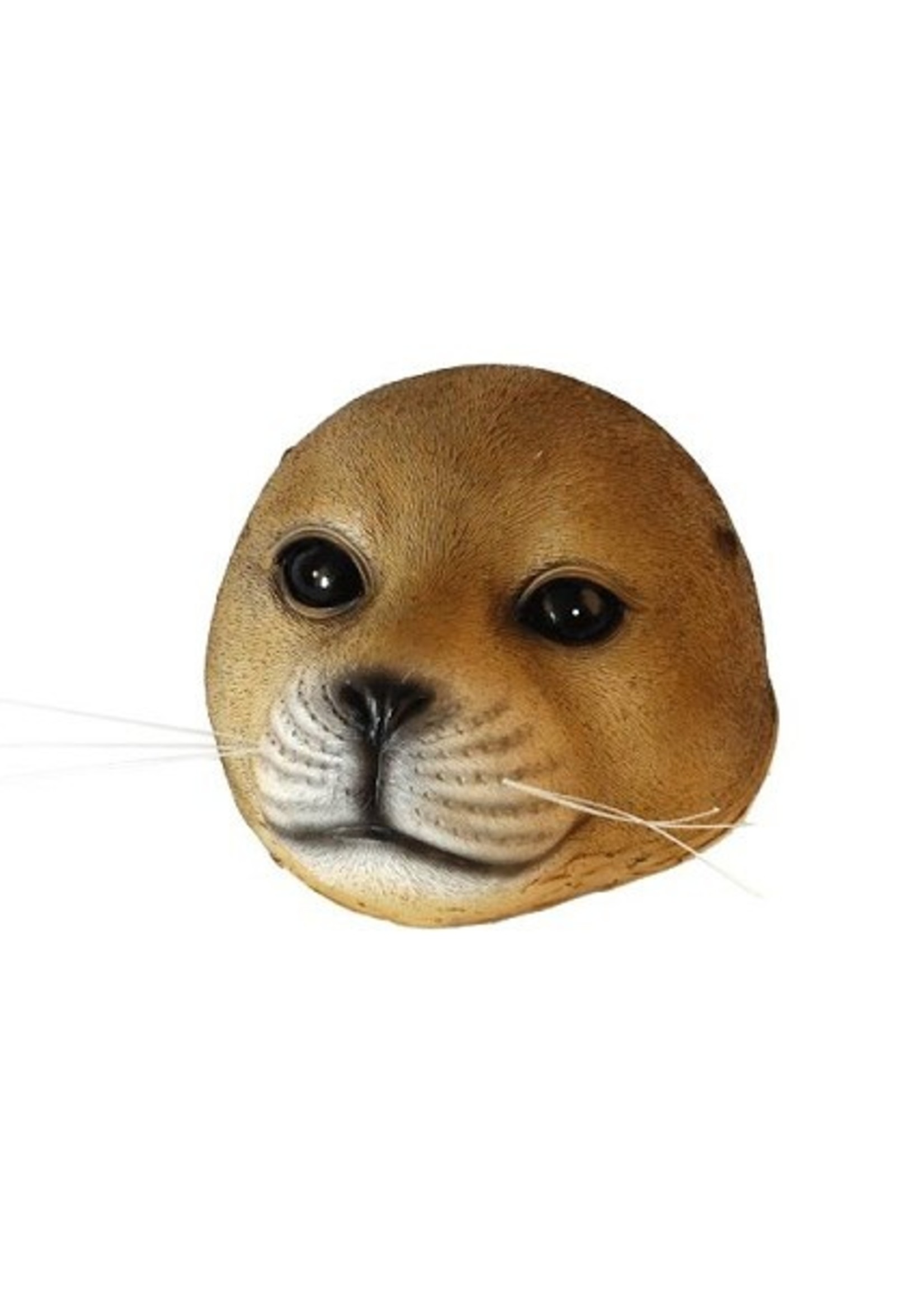 Drijvende zeehond bruin 16x13x7cm