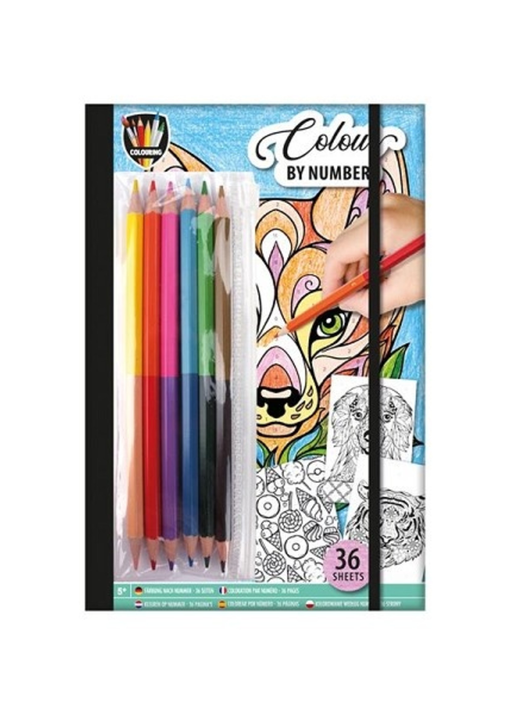 Grafix Colour by number 36 vel 23x16cm