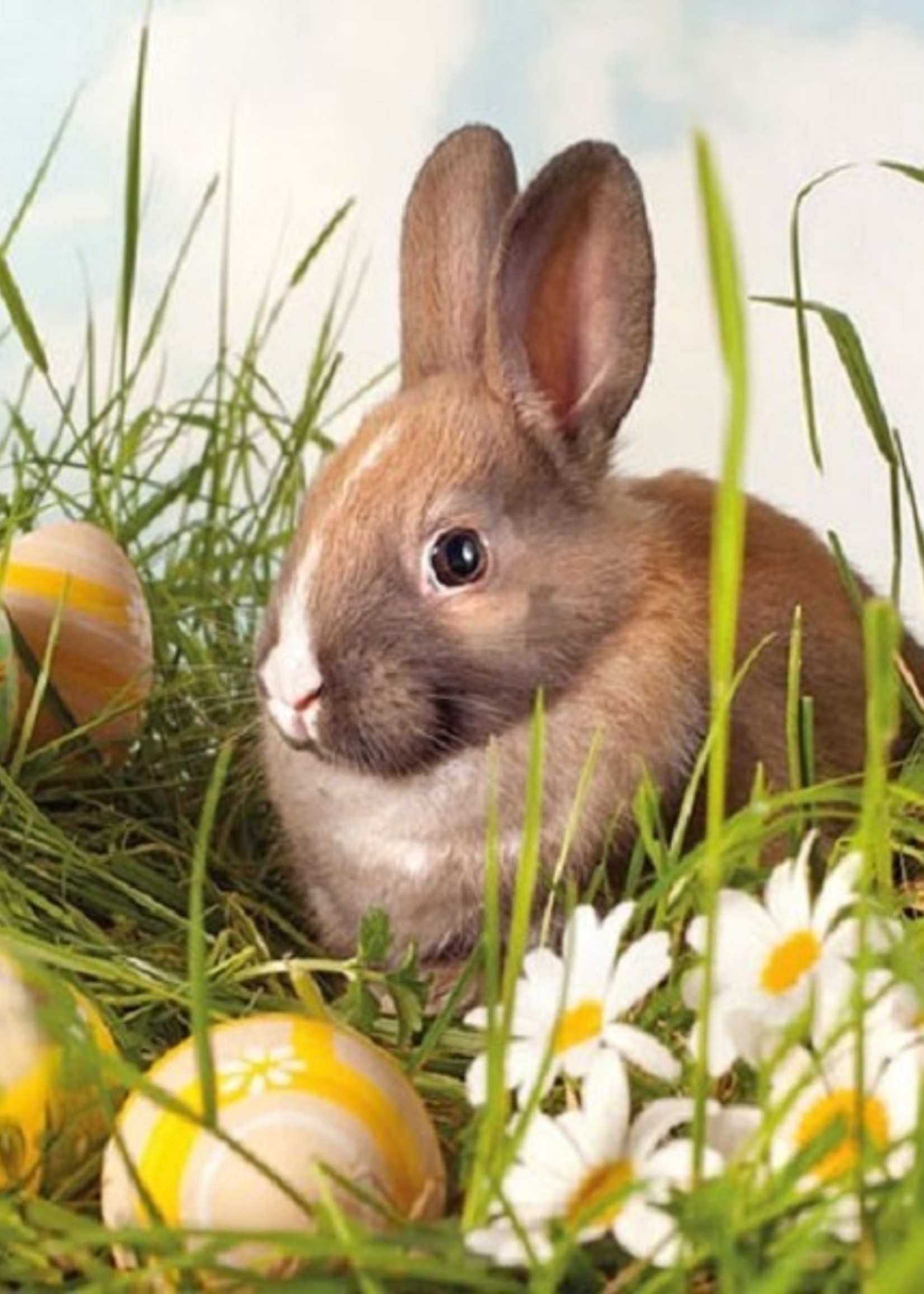 Ambiente Servetten 33x33cm Brown Rabbit 20 stuks