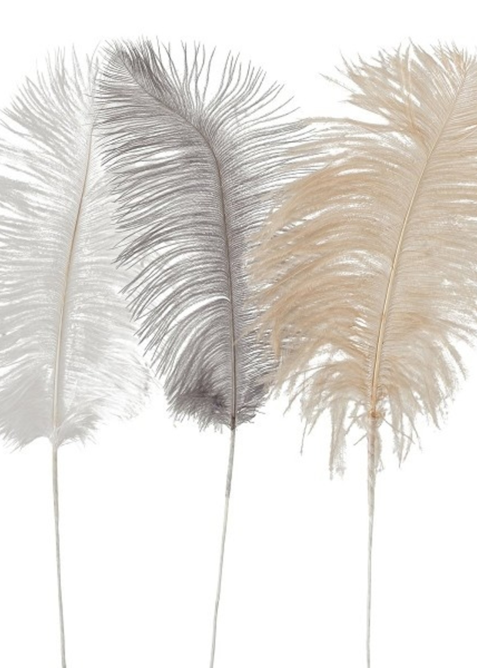 Natuurlijke decoratieveer 60cm