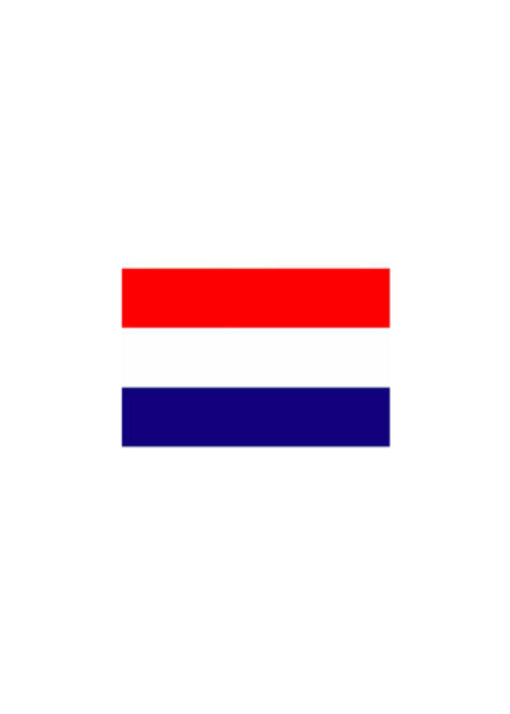 Vlag Nederland 100x150 cm Spun Poly