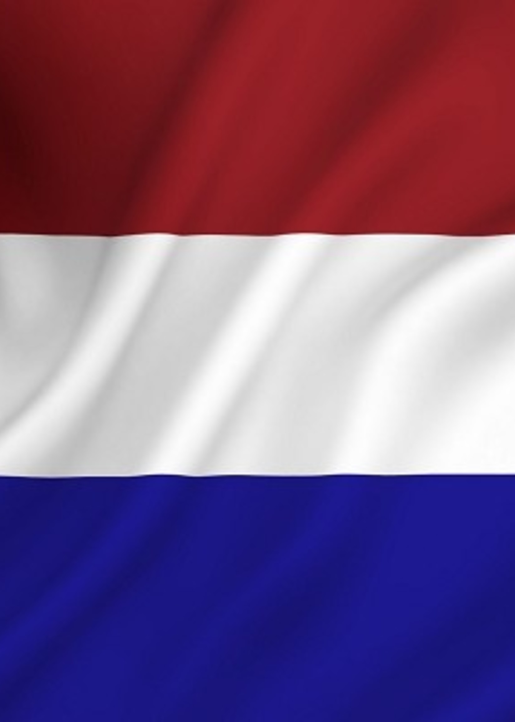Vlag Nederland 20x30 cm spun-poly
