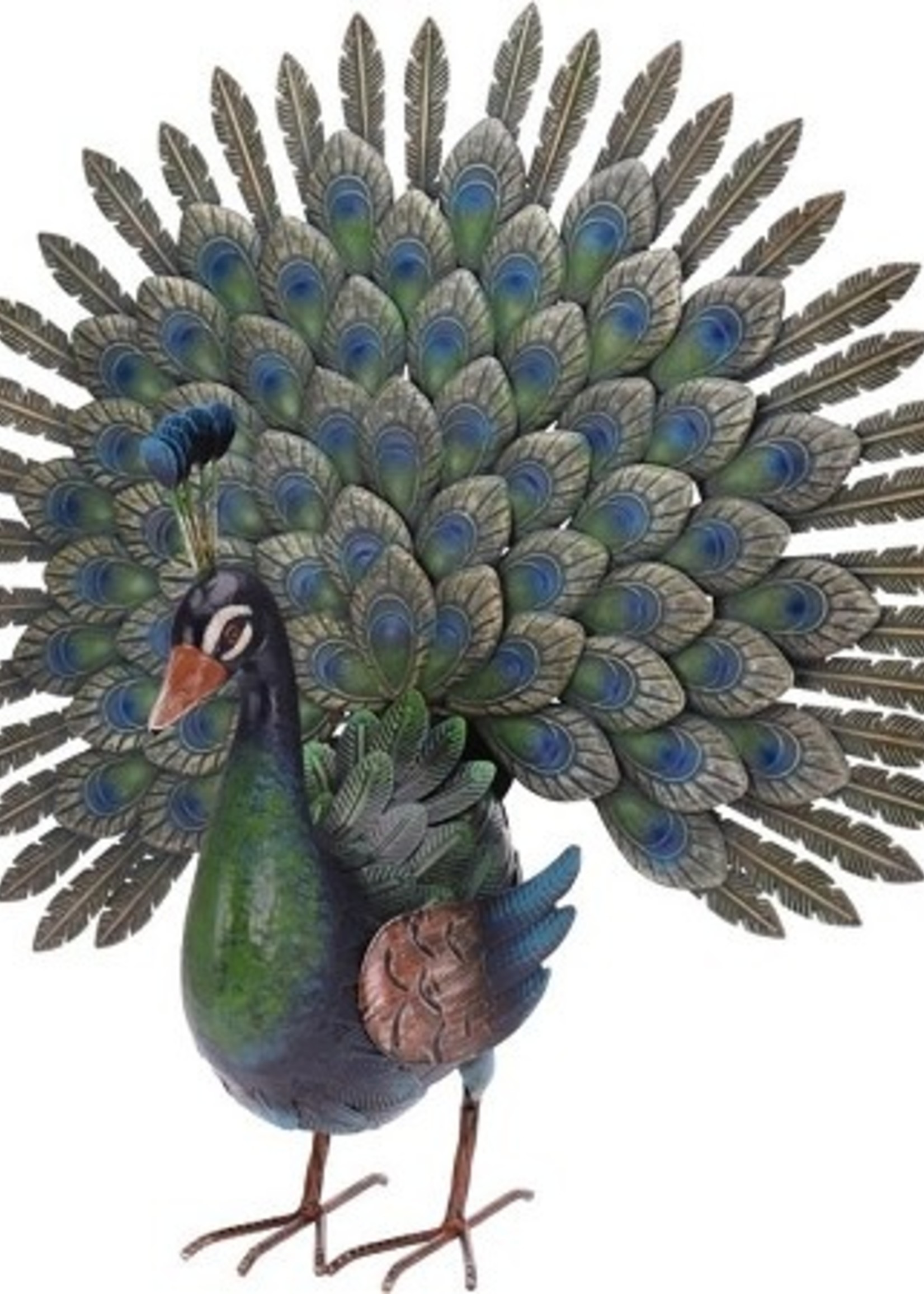 Pauw metaal 30x65x63cm