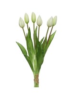 Decoris Tulp op steel pvc creme 10x10xH40cm