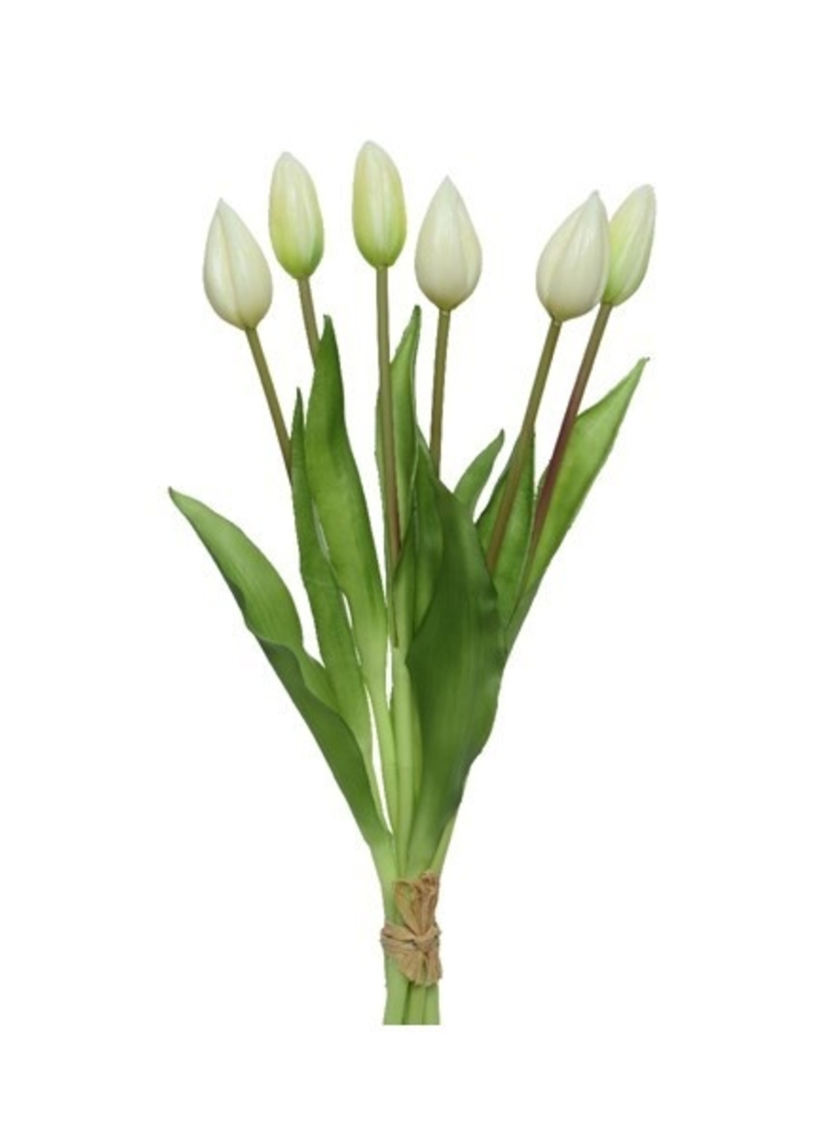 Decoris Tulp op steel pvc creme 10x10xH40cm