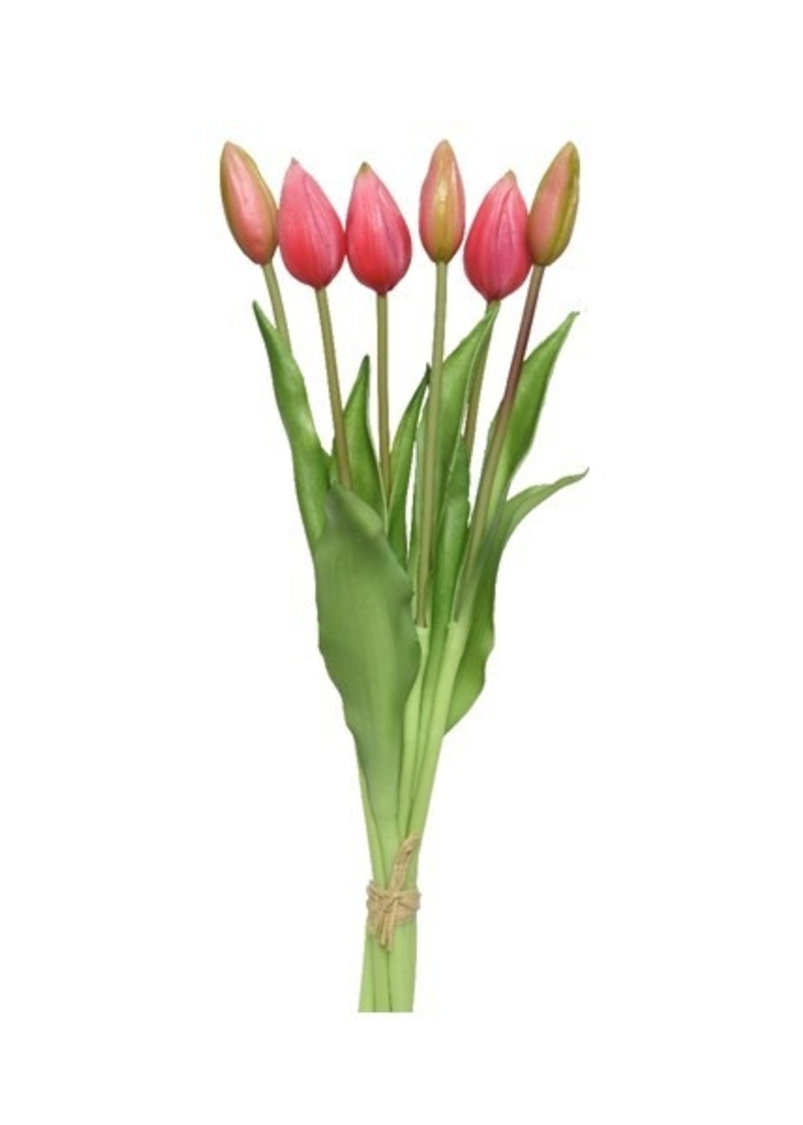 Decoris Tulp op steel pvc fuchsia 10x10xH40cm