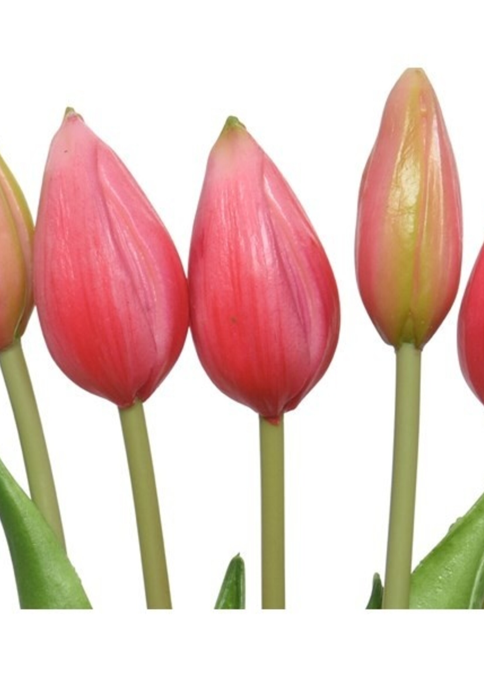 Decoris Tulp op steel pvc fuchsia 10x10xH40cm