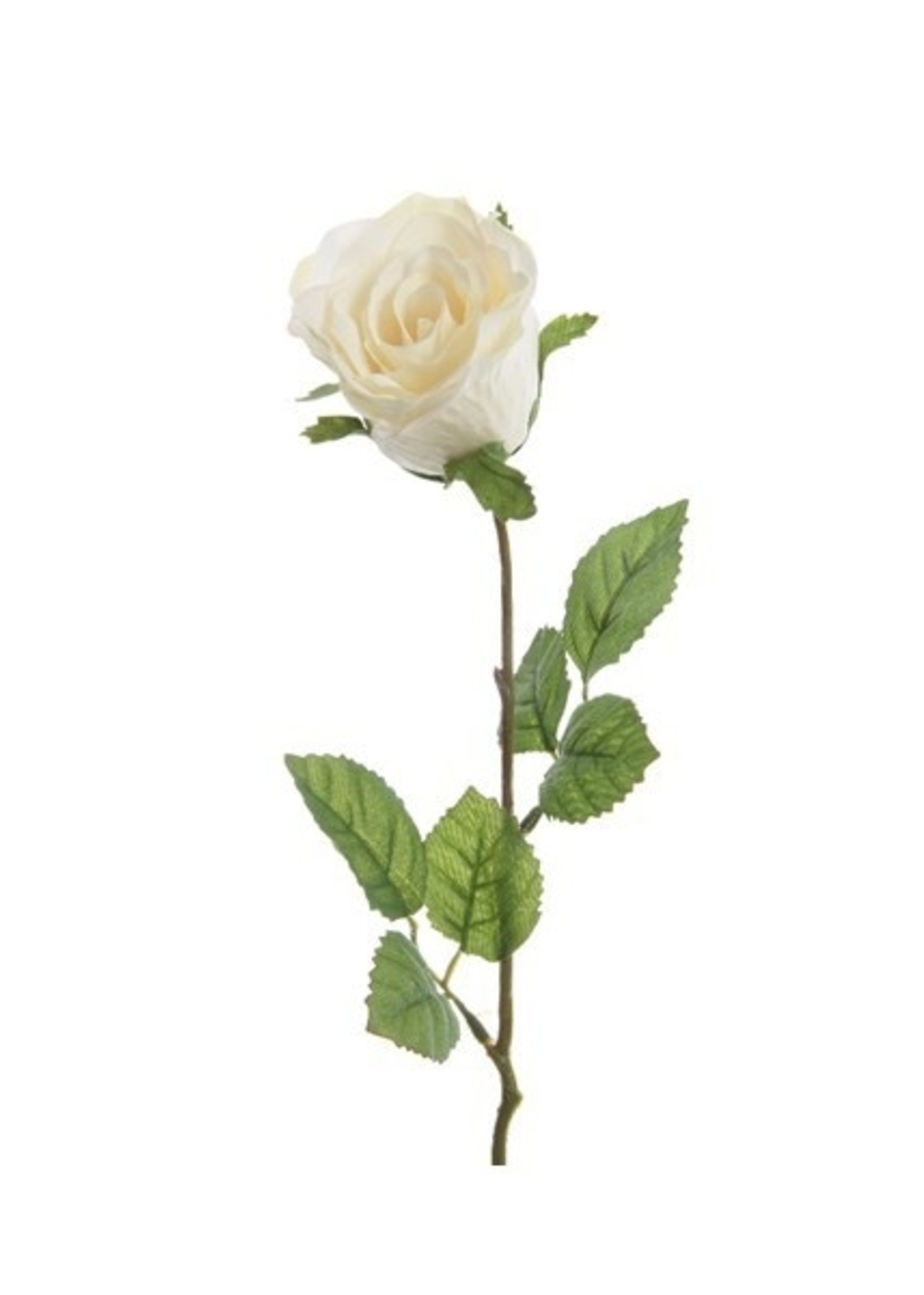 Decoris Roos polyester creme Ø7xH45cm