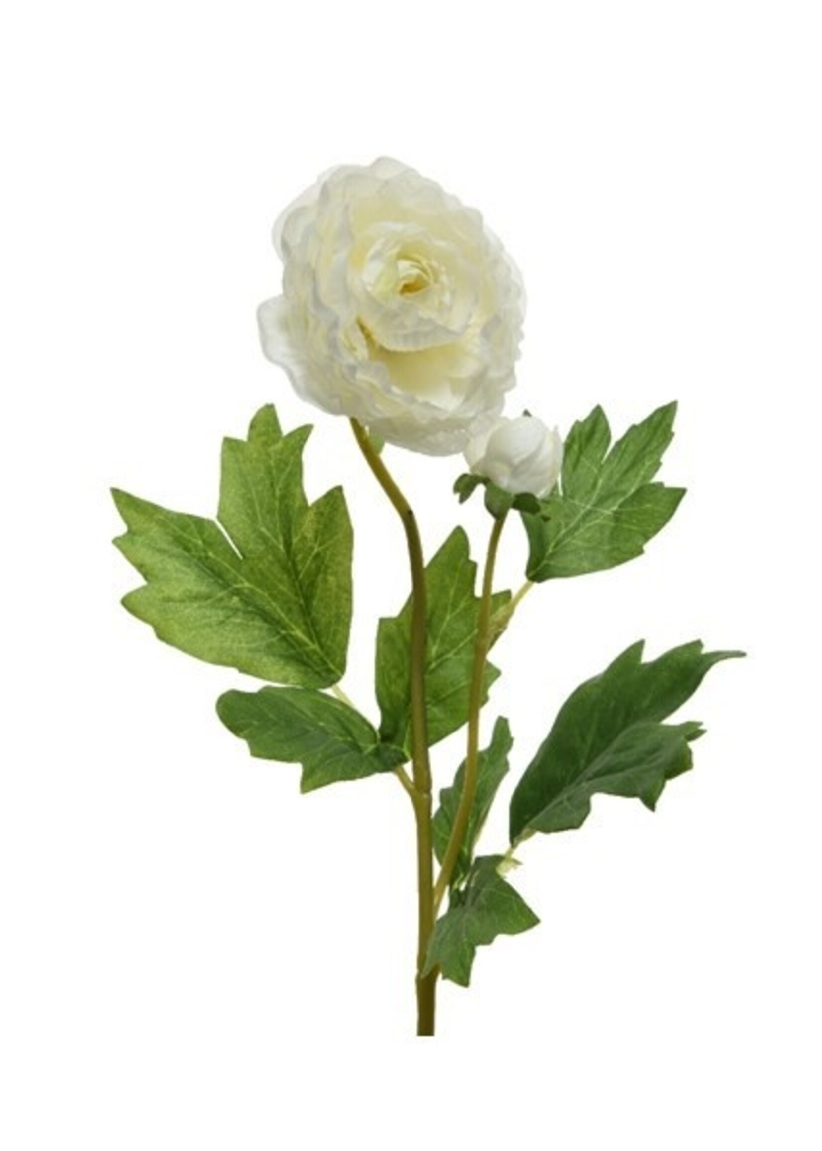 Decoris Ranonkel polyester wit 8x10xH57cm