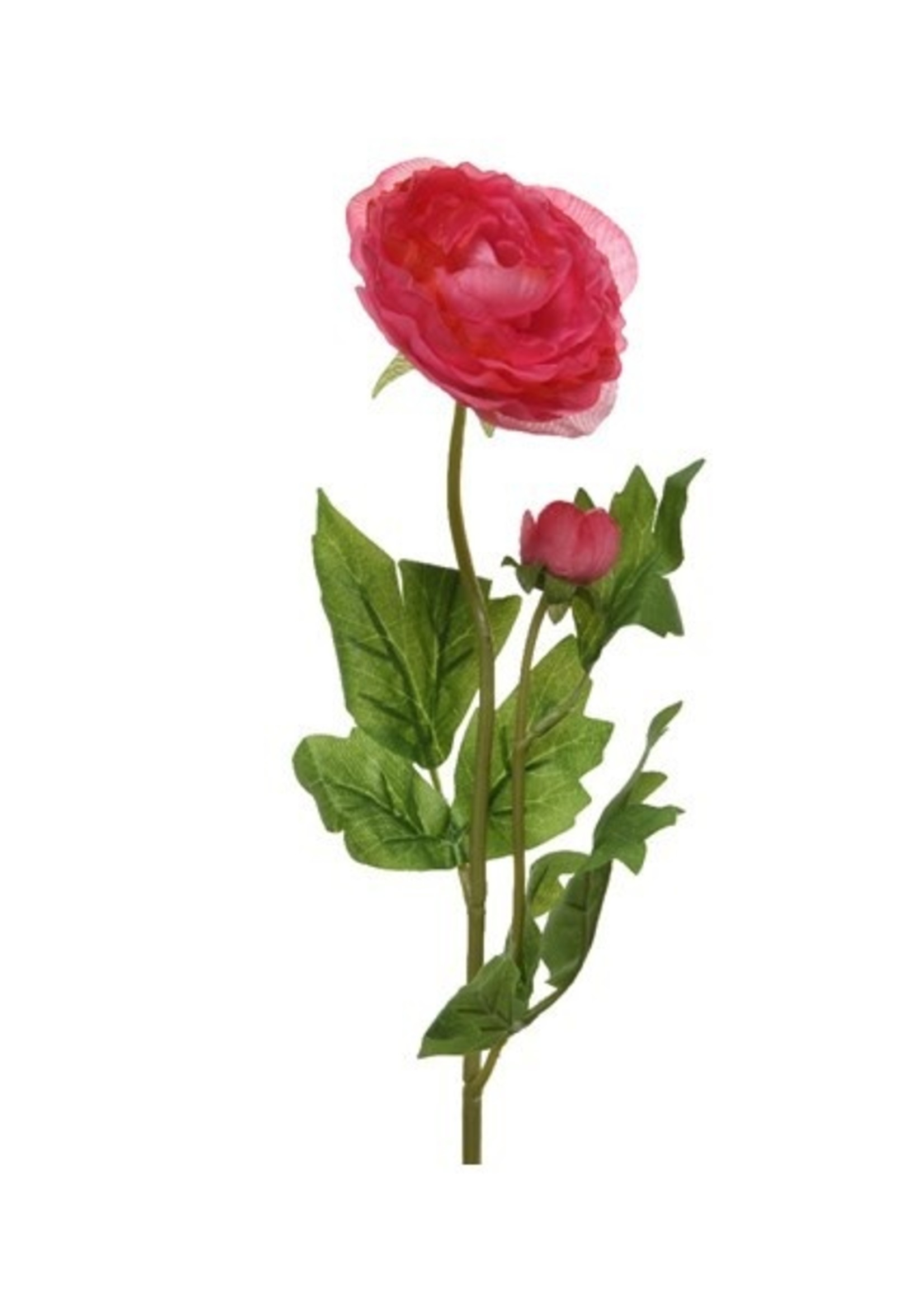 Decoris Ranonkel polyester roze 10x8xH57cm