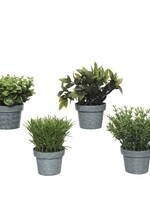 Decoris Plant in pot kunststof groen 10x10xH13cm per stuk