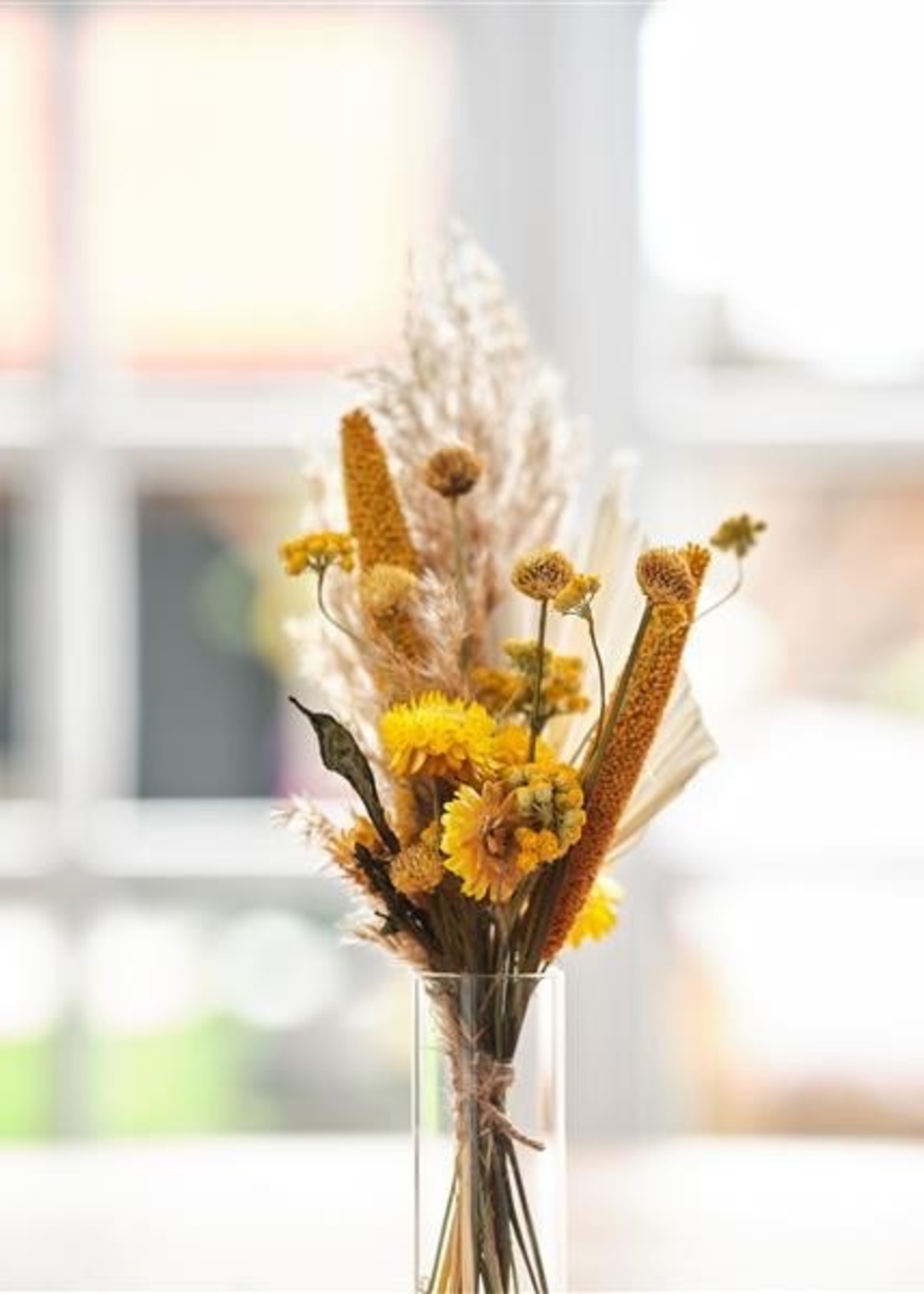 Dijk Natural Collections Pakket Droogbloemen geel 36x23.5x3cm