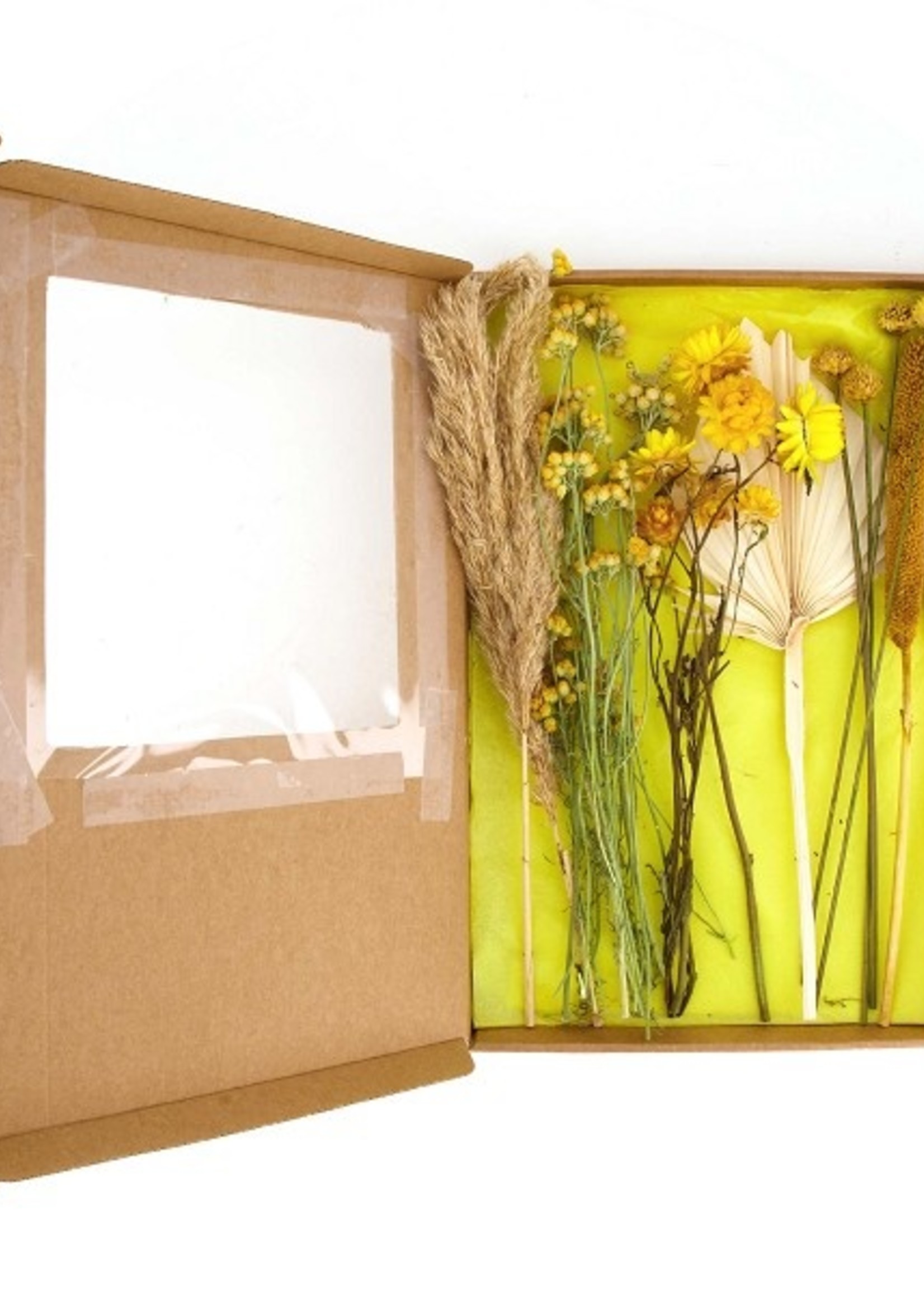 Dijk Natural Collections Pakket Droogbloemen geel 36x23.5x3cm