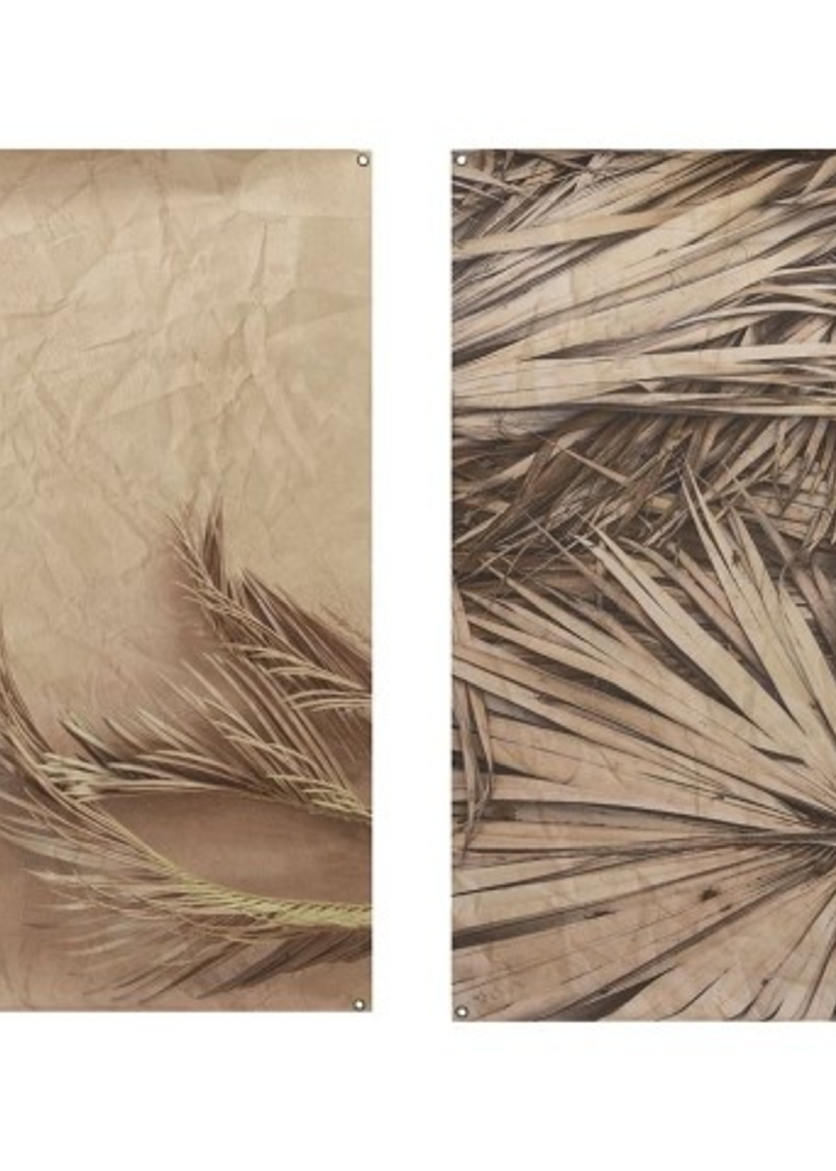 Wanddoek met ophangogen 90x120cm fotoprint met palmblad 2 stuks