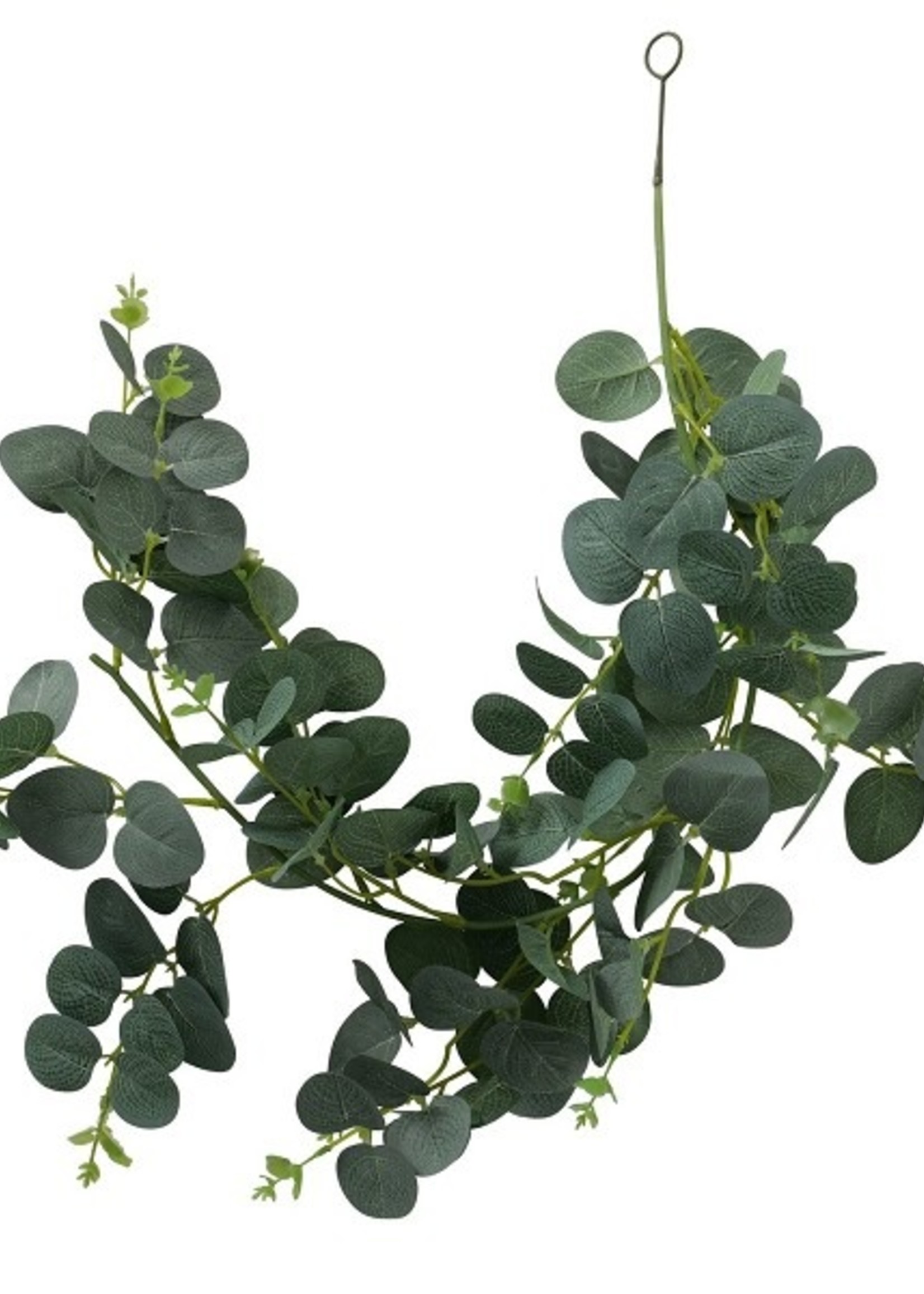 Boltze Home Plantenslinger Eucalyptus L75cm kunststof