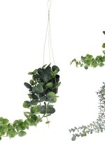 Hangplant in pp pot 56cm per stuk