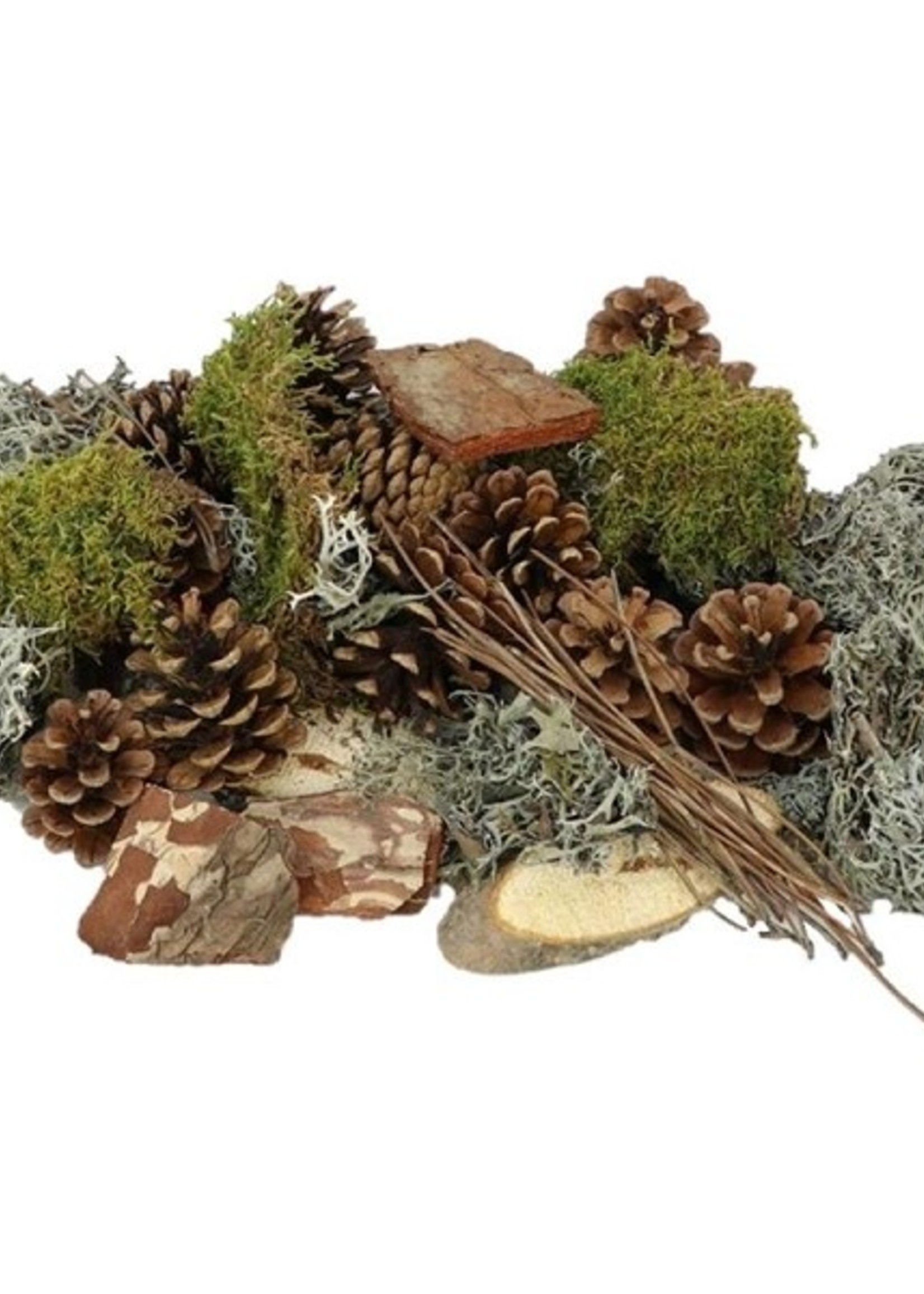 HBX natural living Basic Forrest Mix XL mos en dennenappels in zak