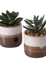 Boltze Home Kunstplant Jaron in keramieken pot 77x11cm per stuk