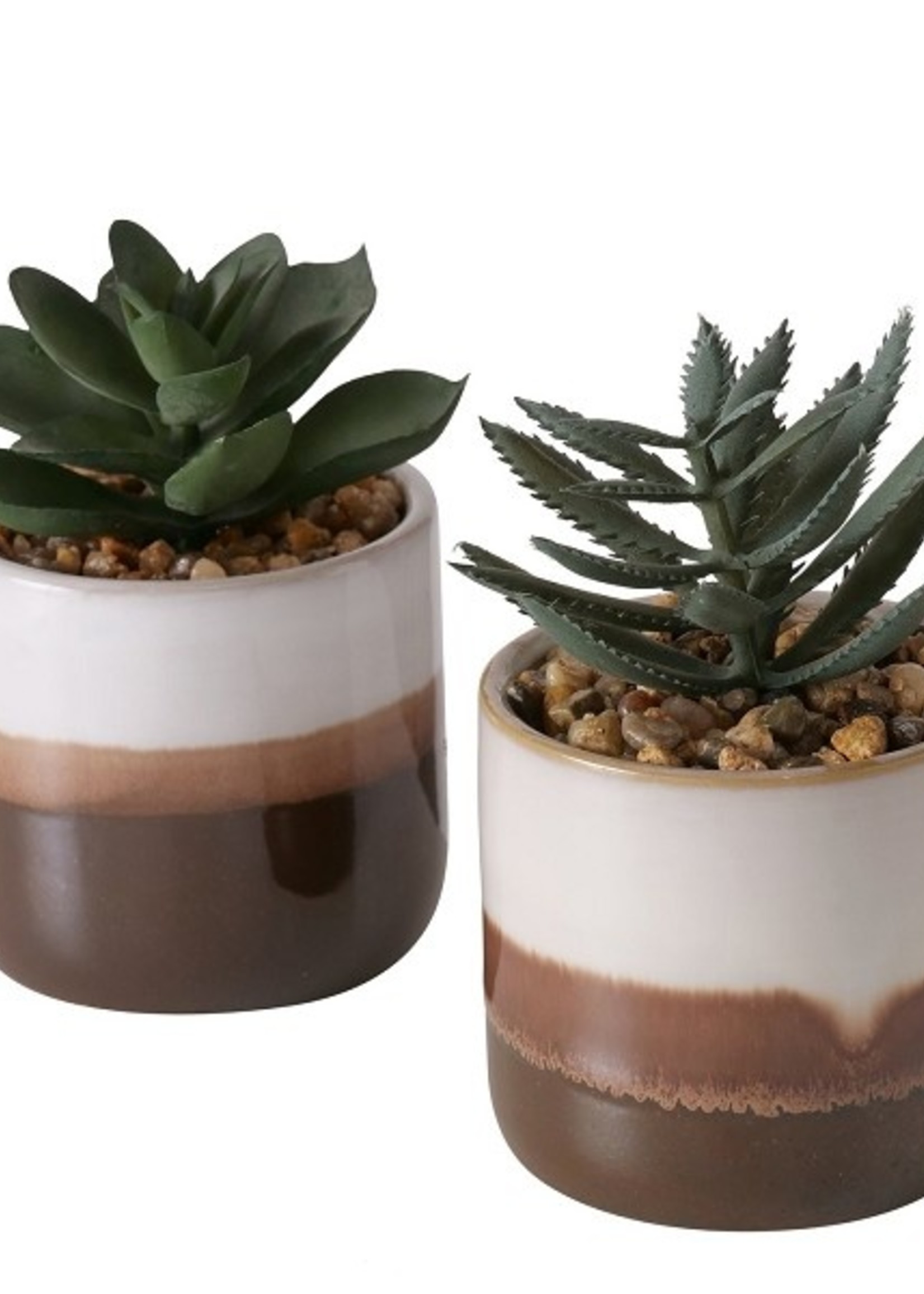 Boltze Home Kunstplant Jaron in keramieken pot 77x11cm per stuk