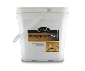 Harpagophytum cheval Horse Master Harpagophyt 1L - Harpagophytum cheval -  Le Paturon