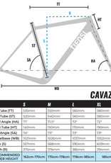 Tifosi tifosi Cavazzo Disc Tiagra 10x Mechanical Bike