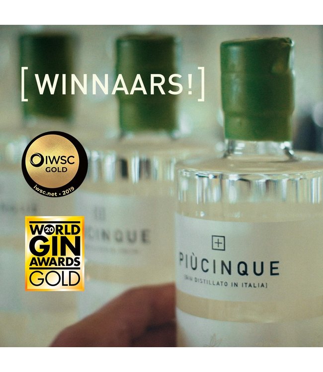 Più Cinque Gin 47°  70cl