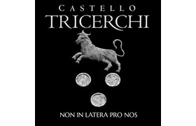 Castello Tricerchi