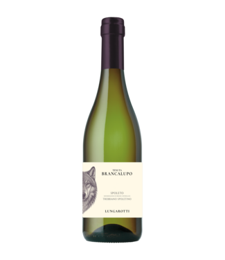 Tenuta Brancalupo Trebbiano Spoletino DOC 2024
